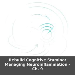 Rebuild Cognitive Stamina: Managing Neuroinflammation